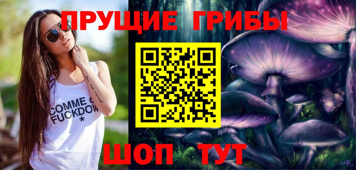 Галлюциногенные грибы Magic Shrooms Новороссийск
